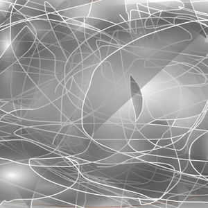 Meet your Posher, Charlie